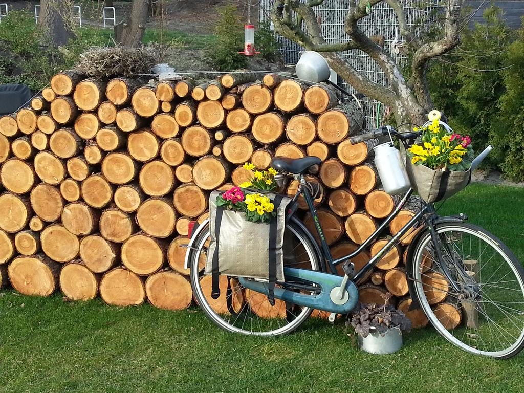 Ferienhaus Emstal In Oberlangen Lathen Eksteriør bilde